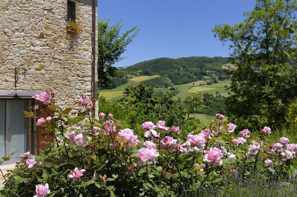 Lodole B&B Monzuno Exterior foto